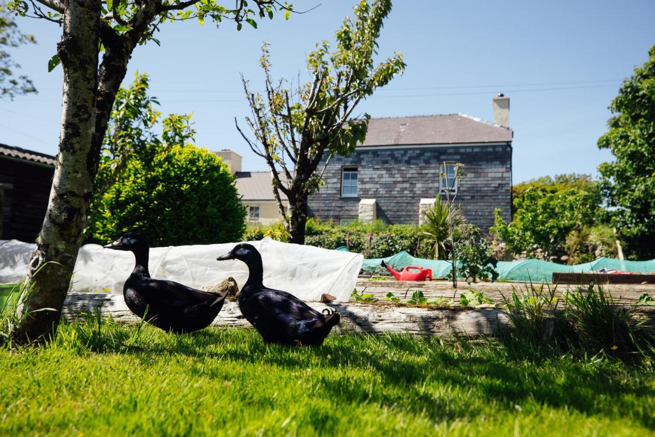 Penrhiw Farm B & B Goodwick Dış mekan fotoğraf